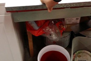 Red Cup's at the Shop