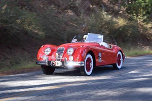 Zack’s Monterey Pics 2015